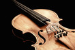 Violine Geige