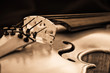 Foto: Violine Geige Violine Geige