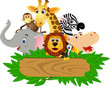 Animal cartoon
