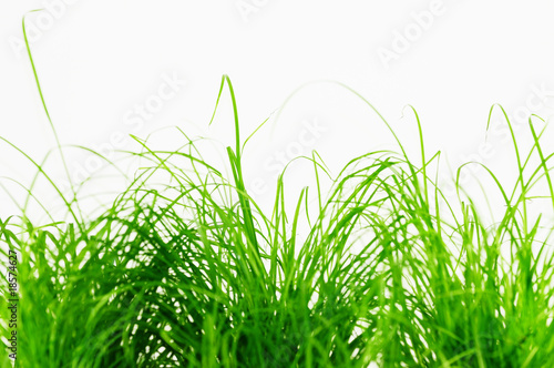 Foto: Gras Gras