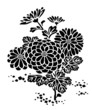 菊の花の模様　chrysanthemum flower