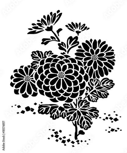 Vector: 菊の花の模様 chrysanthemum flower 菊の花の模様 chrysanthemum flower