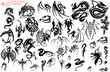 Vector: Tribal Dragon Designs Tribal Dragon Designs