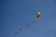playing kite playing kite