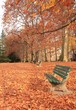 allée du parc en automne