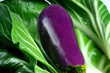 Foto: Violett, weiss, grün, gesund Violett, weiss, grün, gesund