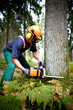 lumberjack lumberjack
