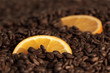 Kaffebohnen und Orangenscheiben