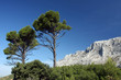 Montagne Sainte Victoire Montagne Sainte Victoire
