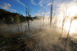 Steaming Thermal lake in Kuirau Park, Rotorua, New Zealand