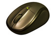 mouse
