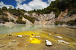 Frying Pan Flat, Wai-O-Tapu Thermal Wonderland, NZ