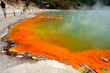 Champagne Pool, Wai-O-Tapu Thermal Wonderland