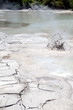 Splashes of boiling mudpool, Wai-O-Tapu Thermal Wonderland