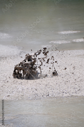 Splashes of boiling mudpool, Wai-O-Tapu Thermal Wonderland Splashes of boiling mudpool, Wai-O-Tapu Thermal Wonderland