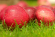pomme