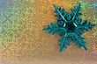 christmas card