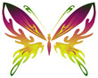 borboleta