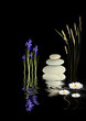 Zen Garden Fantasy