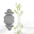 Zen Garden Tranquility