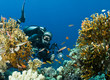 underwater photographer