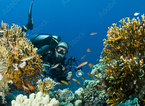 Photo: underwater photographer underwater photographer