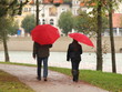 Foto: Regen, Regenschirme Regen, Regenschirme