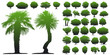 Trees on white background Trees on white background