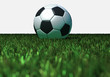 Baón de fútbol y césped Baón de fútbol y césped