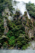 Cathedral Rocks, Frying Pan Lake, Waimangu, New Zealand