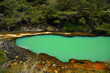 Pond in Marble Terrace, Waimangu Volcanic Valley, NZ