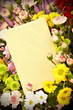 blank card