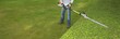 hedge trimming