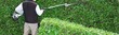 hedge trimming