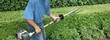 hedge trimming