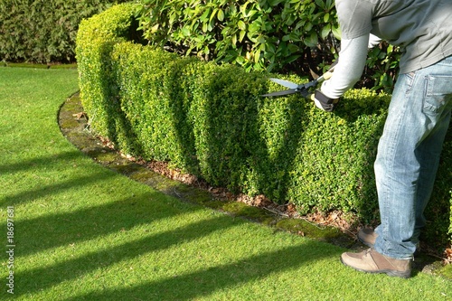 Photo: gardener gardener