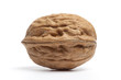 One single Walnut on white background