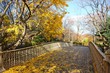 A view of the Central Park in New York in November A view of the Central Park in New York in November