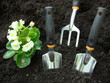 planting flowers