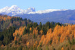 montagna in autunno