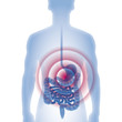 Magen, Darm, Magenmedizin, Untersuchung Magen, Darm, Magenmedizin, Untersuchung