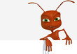 Red ant 26
