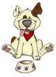 Hund, Dog, Hundefutter, Fressnapf, Hunger, Essen
