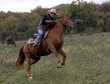 cavalier et son cheval en pleine nature cavalier et son cheval en pleine nature