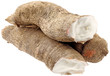 manioc, Manihot esculenta, racine tropicale fond blanc manioc, Manihot esculenta, racine tropicale fond blanc