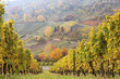 herbst