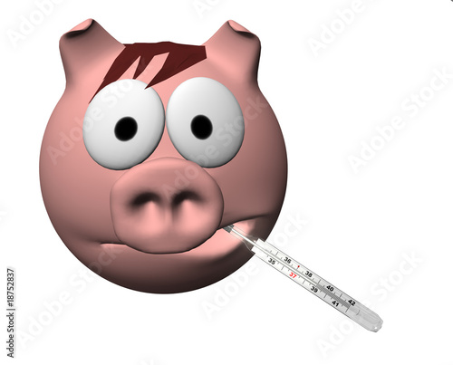 swine flu swine flu