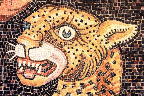 Panthera pardus, Scuola Mosaicisti Spilimbergo, Italia