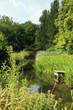 Itchen river