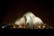 Lotus Temple in New Delhi